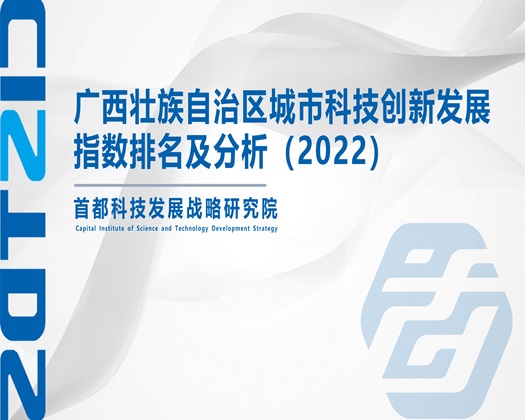 猛肏逼【成果发布】广西壮族自治区城市科技创新发展指数排名及分析（2022）